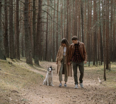 Keep Your Furry Friend Safe While Hiking: How the GP30 Waterproof 4G Pet Locator Addresses Pet Owners' Concerns