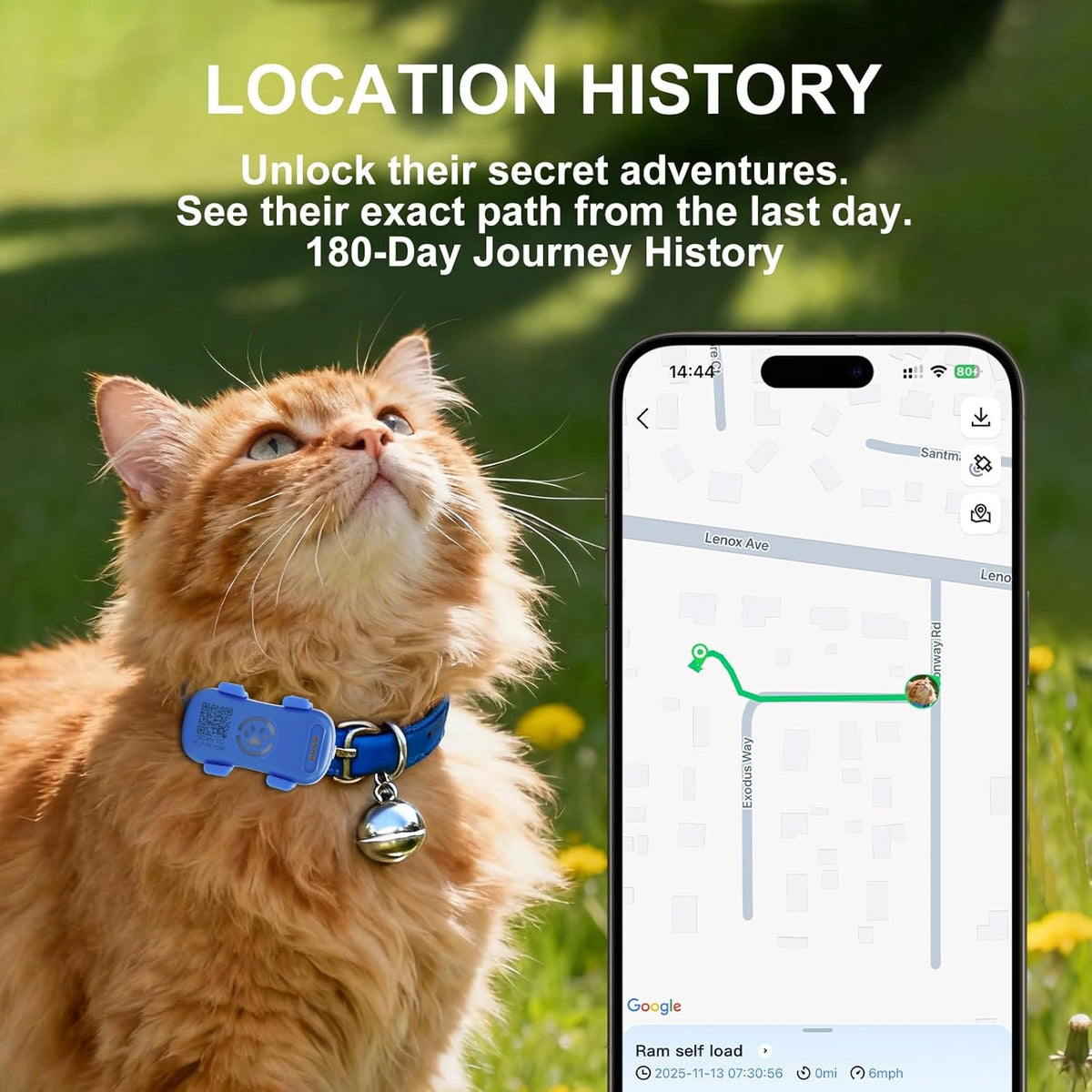 Dog Cat GPS Tracker GP30