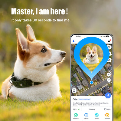 location tracker for pets
