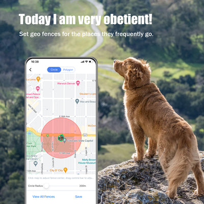 best geofence dog collar