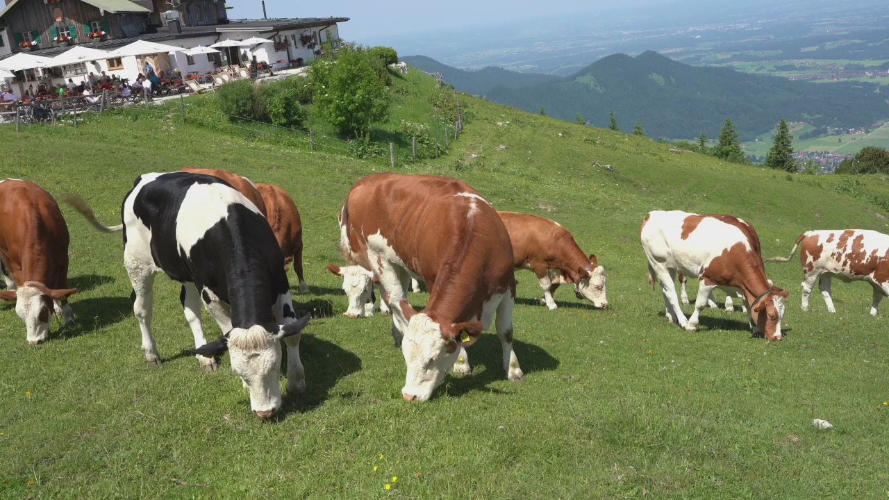 Carica il video: 